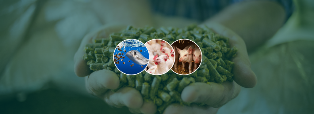 ARA-hosted International Animal Nutrition Workshops